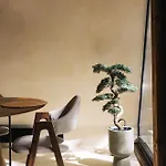 Juniper Matra *